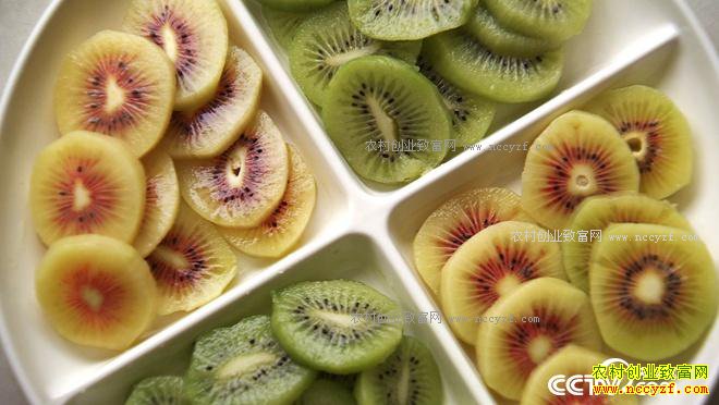 ʮ��һ��ծ һ�������