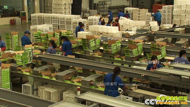 ʮ��һ��ծ һ�������