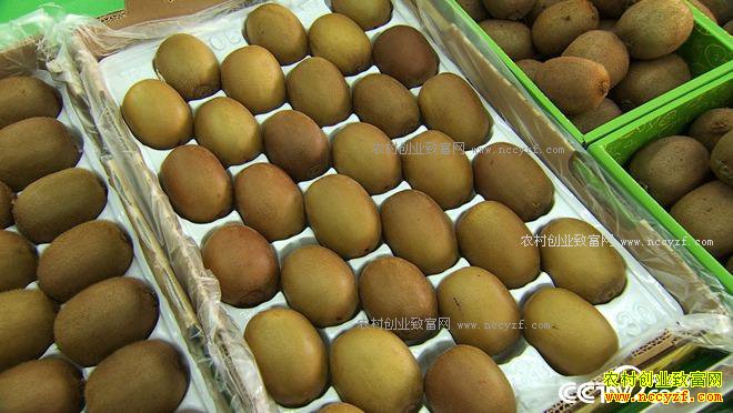 ʮ��һ��ծ һ�������