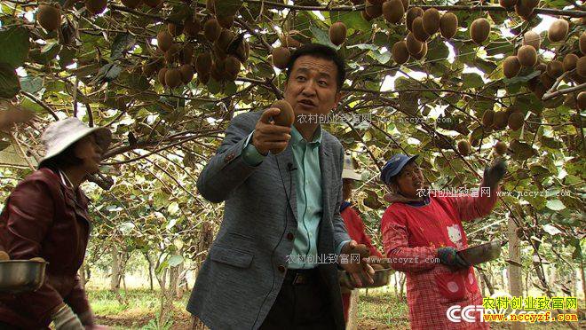 ʮ��һ��ծ һ�������