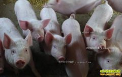 ���գ������۸����� �����۸����