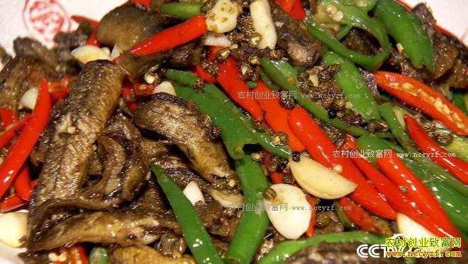 �������γ�����