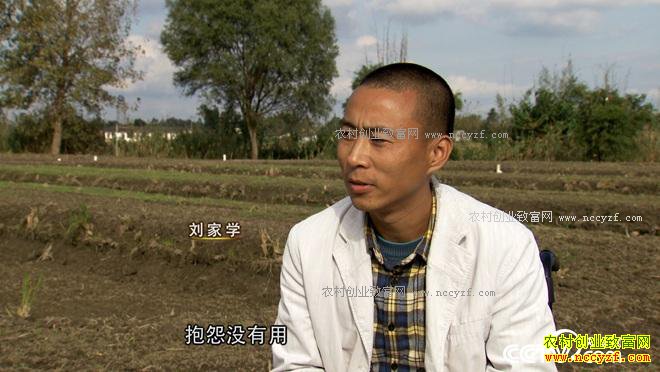 �������γ�����