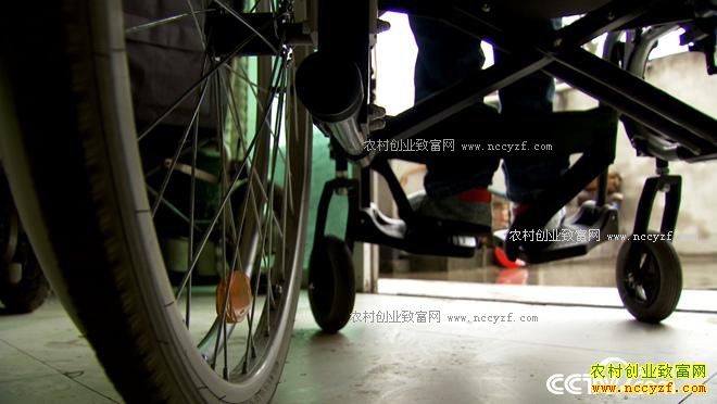 �������γ�����