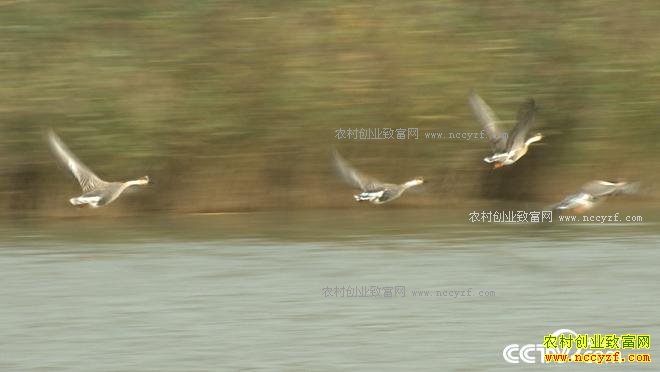 ���� 10����800�������