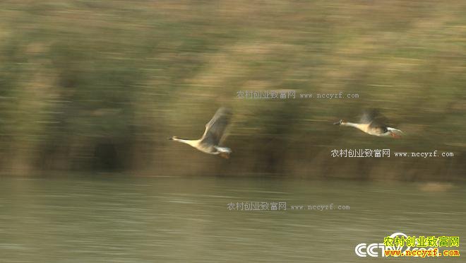 [�¸���]�������Ƹ������ֳ��������10����800�������