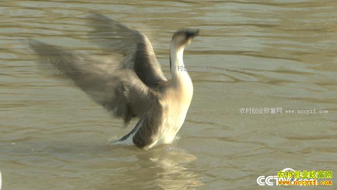 ���� 10����800�������