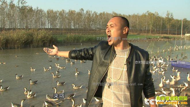 ���� 10����800�������