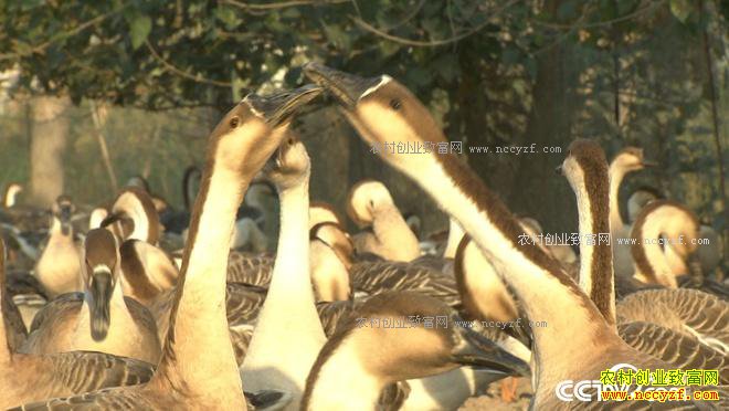 ���� 10����800�������