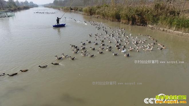 ���� 10����800�������