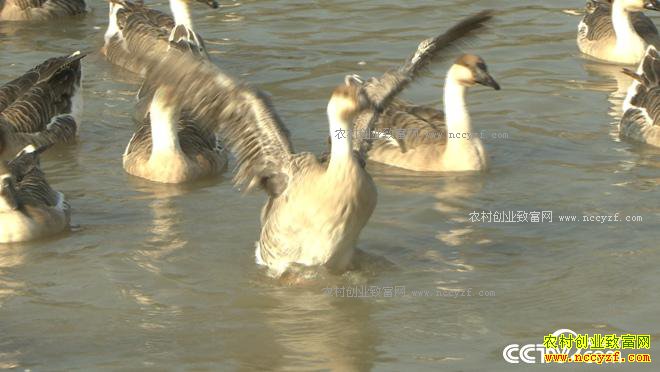 ���� 10����800�������