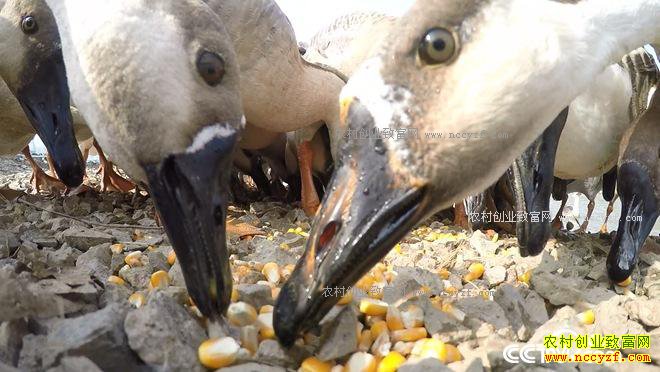 ���� 10����800�������