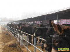 ������ѧ��ƽ�����¿����