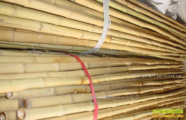 ���Ӽӹ���ʲô����Ǯ�����ܼ������Ӽӹ���Ŀ