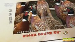 [�¸���]���������ܲ�ƽ���������ݳ���ҵ��ҵ�ȷ�