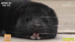 [ÿ��ũ��]ɽ��������ͬʱ������ˮ��������