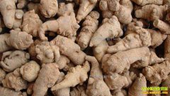 2018�����߲��������߼۸���������Ԥ��