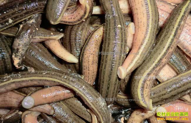 ��ҩ��ˮ��ͼƬ