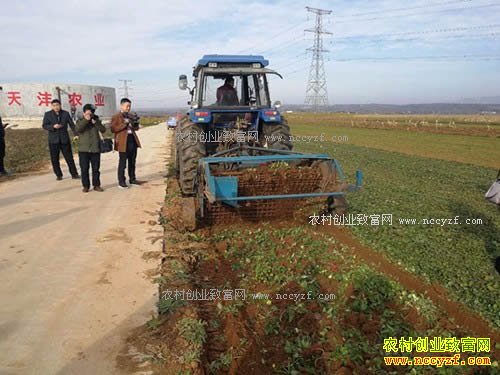 ����ĳ���λ������ڲ���2017�굤��