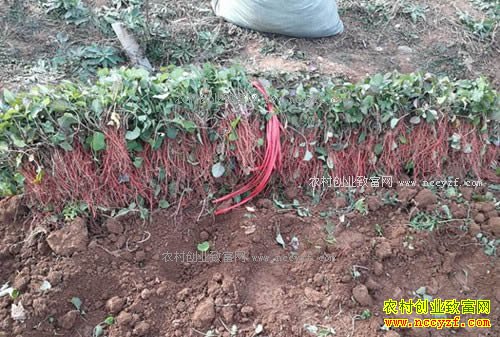 ���ϵ��β��أ��մӵ����ڳ��ĵ�������