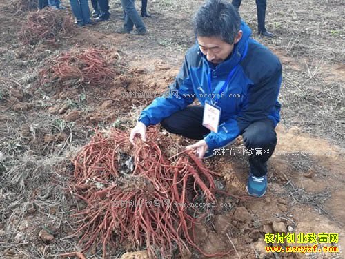 ��ҩ�������Ʒ���ǿ���ϯר����������ʦ����2017����ϲ��صĵ��ν���ʵ�ؿ�����С�