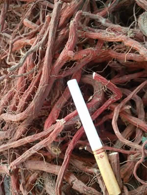 2017�����µ��μ۸�2018�굤�μ۸�����Ԥ��