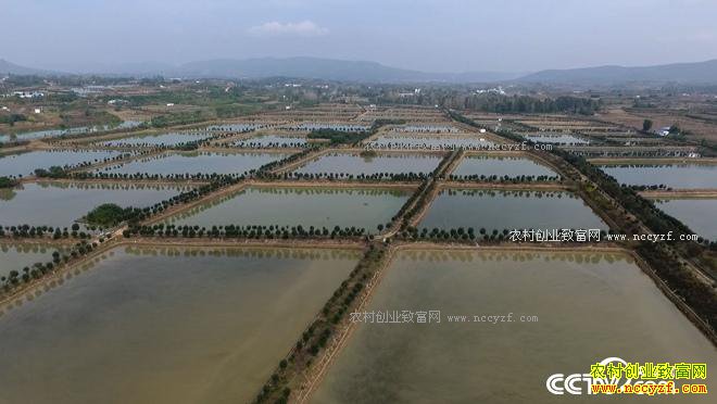 ��ħ�䡱Ȫ�����з 3����Ҫ��2000��