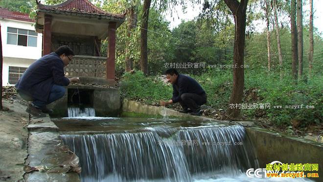 ��ħ�䡱Ȫ�����з 3����Ҫ��2000��