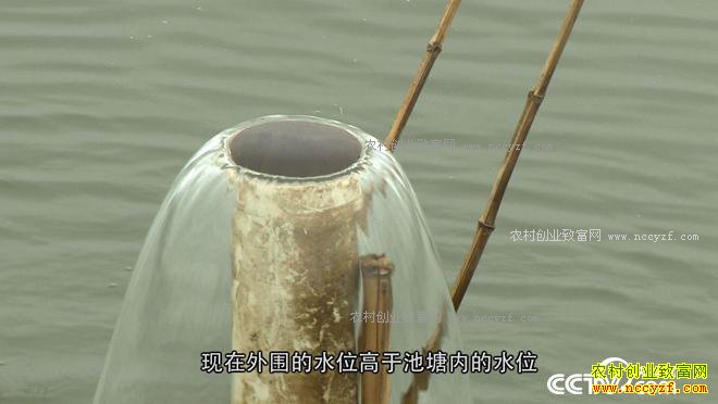 ��ħ�䡱Ȫ�����з 3����Ҫ��2000��