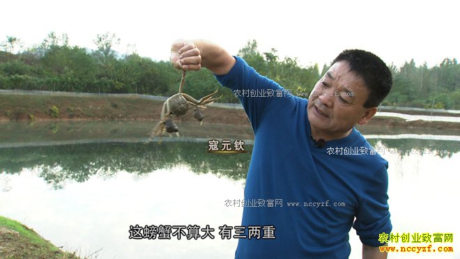 �¸���������������Ԫ��Ȫ�����з3�����̳�2000��Ƹ�