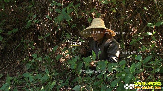 �Һ�ɱ�˷��60��