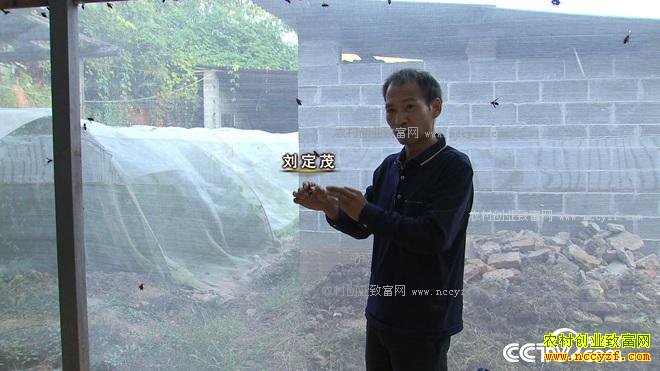 �Һ�ɱ�˷��60��