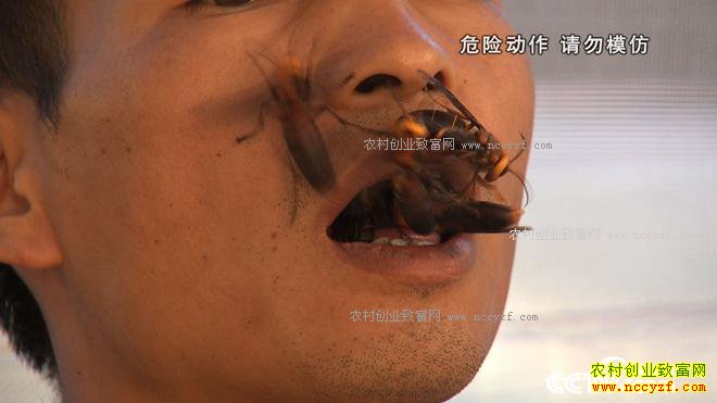 �Һ�ɱ�˷��60��