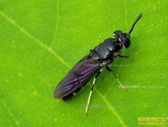 ɽ������������ֳ��ˮ�«���������¸�·