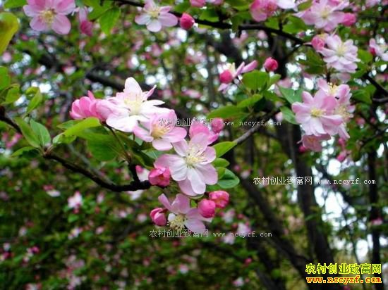 ����������һ·���� Ԥ��2018�꺣�����۸񳬹�����