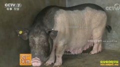 [ũ�����]�����Ͳ�����ֳ������Ƶ