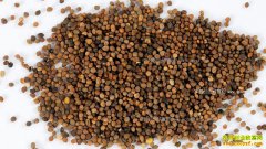 ��˿�Ӷ���Ǯһ�2017��12��24����˿�Ӽ۸�����