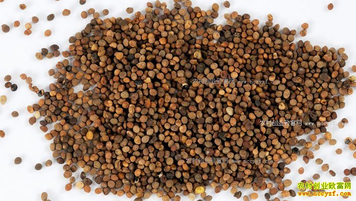 ��˿�Ӷ���Ǯһ�2017��12��24����˿�Ӽ۸�����