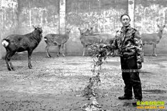 �����ϴ���������ֳ÷��¹��ҵ�¸�