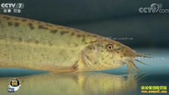 [ÿ��ũ��]���ո�����������׬Ǯ��������