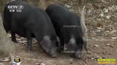 [ÿ��ũ��]����Ӿ�İ��ս�կ��ë���г�����