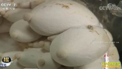 [�Ƽ�Է]�������� ���ӱ���������������