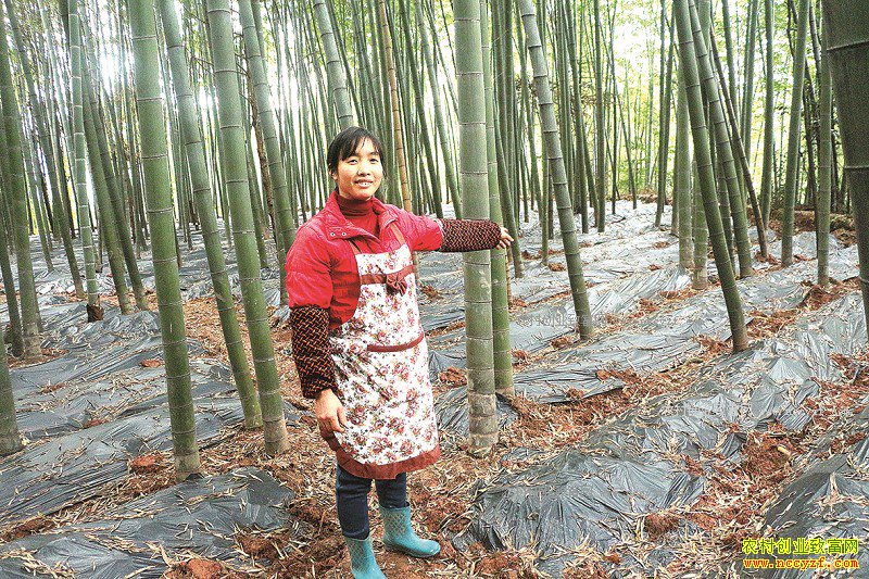 �Ĵ�����Ԭ�����������������ݥЧ���