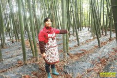 �Ĵ�����Ԭ�����������������ݥЧ���