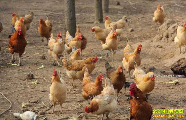 ������¡�ش�ѧ��������������ҵ�����¸�·