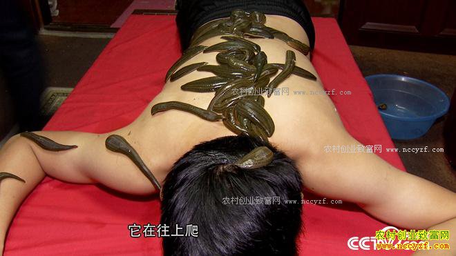 ���ֶ��������� ��ȴ��׬500��