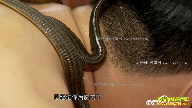 ���ֶ��������� ��ȴ��׬500��