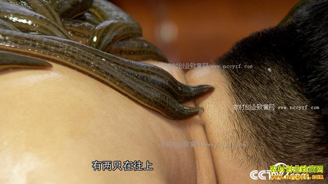 ���ֶ��������� ��ȴ��׬500��