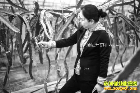 �㽭���¡��������ʺ���Ӣ����ֲ��������ҵ�¸�