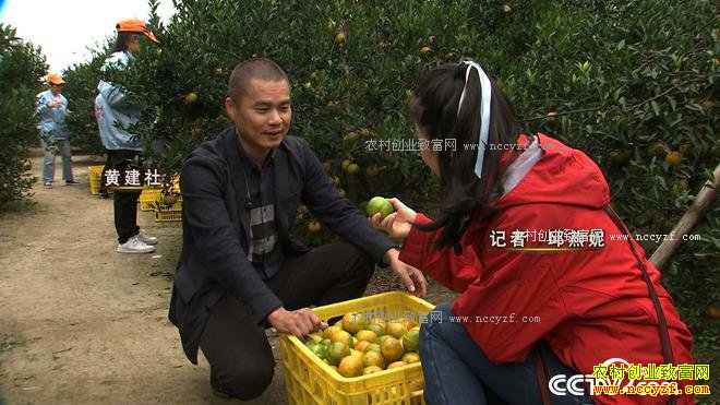 ����һ������ Ҳ��һ�Ź��� ׬��